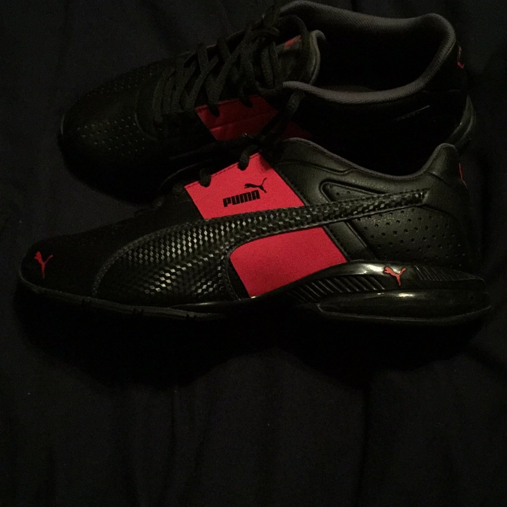 Puma